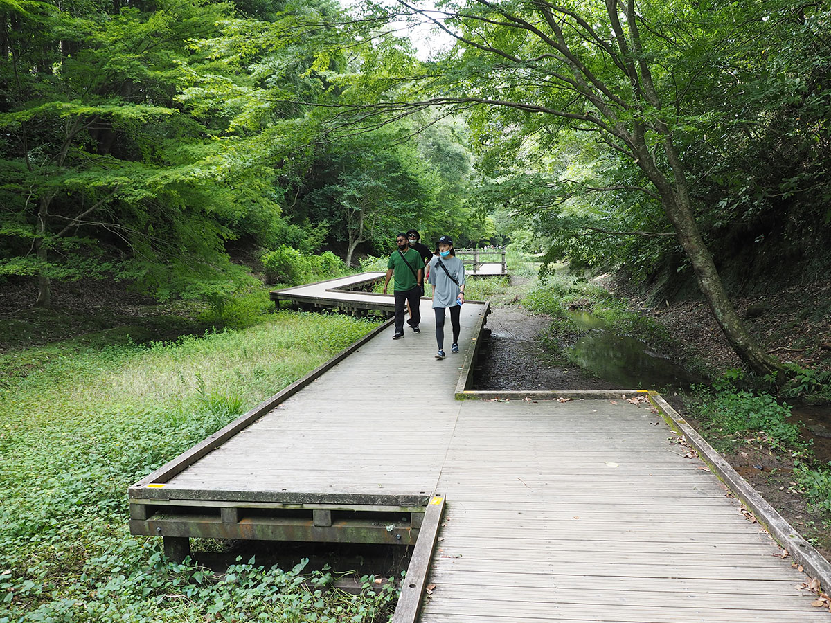 濃溝の滝&亀岩の洞窟