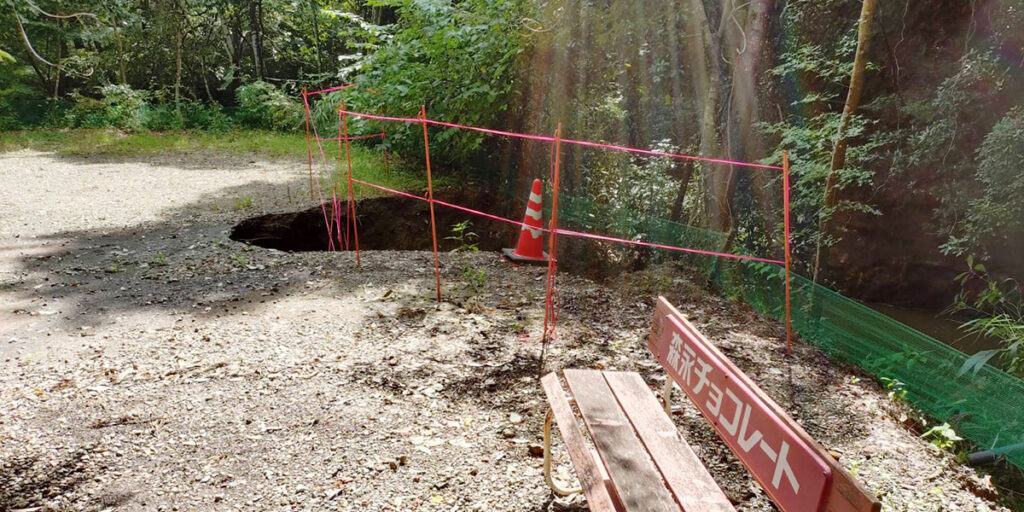 台風による倒木被害のお知らせ